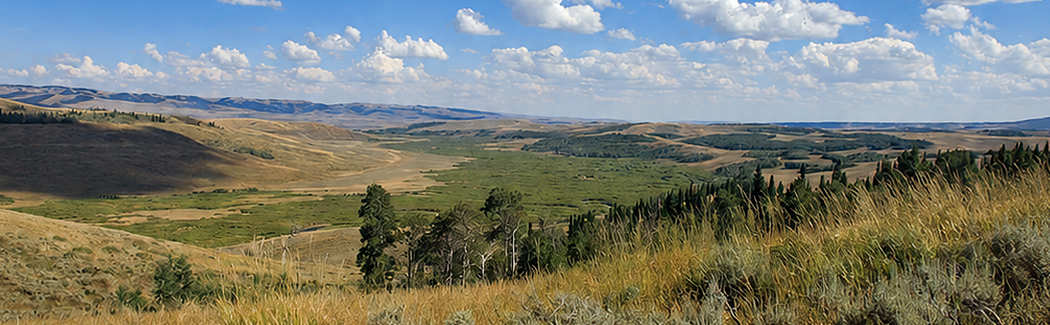 Conservation Banks