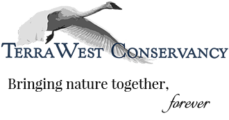 TerraWest Consulting